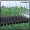 105 подноса повышения семени полистироля отверстий подносов штепсельной вилки клетки прямоугольного глубоких 540X280mm