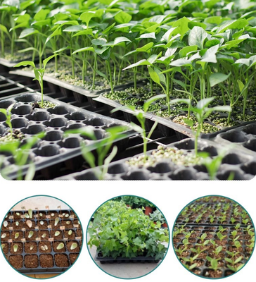 Seedling tray, cell trays, tray planters, seedling pots, seedling cups, seedling boxes - all for multi-functional seed and seedling cultivation of vegetables and sprouts.