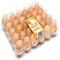 Удобный поднос инкубатора яйца перехода коробки яйца PVC 8pcs 0.7mm пластиковый