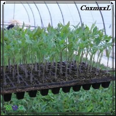 200-клеточный пластиковый поддоныш - толщина 2 мм и устойчивый к старению для длительного использования в детских садах