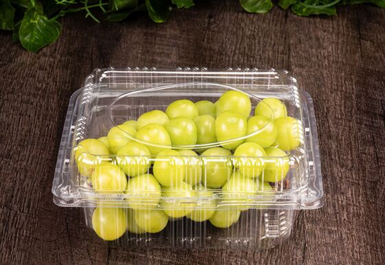 Customized Design Recyclable PET Fruit Packaging Box with Heat Sealing for Transparent Fruit Storage