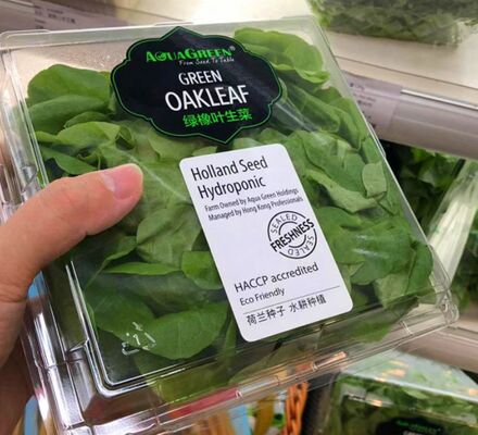 Индивидуальный дизайн, перерабатываемая прозрачная ПЭТ-коробка для фруктов с термозапайкой для упаковки винограда и помидоров