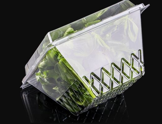 Customizable Design Recyclable PET Heat Sealing Fruit Packaging Box for Cherry Grape Strawberry Tomato Blueberry
