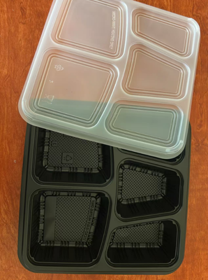 5 DIVISION PLASTIC CONTAINERCOLOR