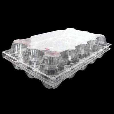 держатель подноса яйца подноса 71mm яйца устранимого ЛЮБИМЦА 15packs ясный пластиковый квадратный