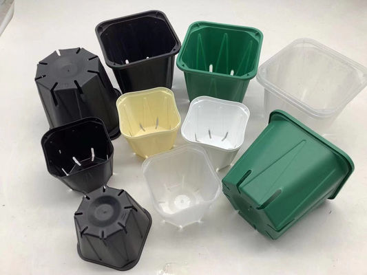 Разрыв сильного квадратного бака саженца орхидеи облегченный устойчивый